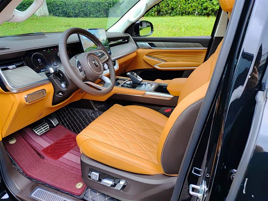 Tank 500 New Energy 2025 immagine di auto #8