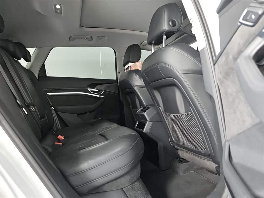 Audi e-tron (Imported) 2020 car image #8