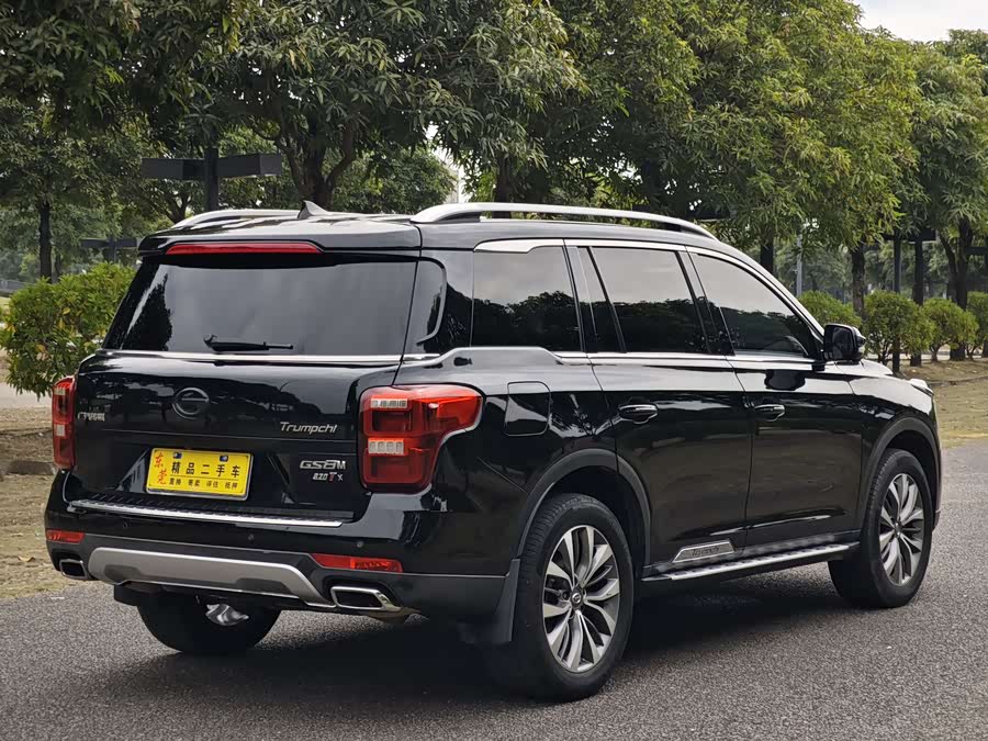 GAC Trumpchi GS8 2017 car image #8