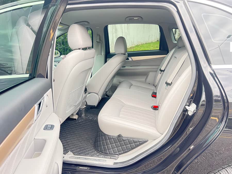 Denza DENZA 2019 صورة سيارة #8