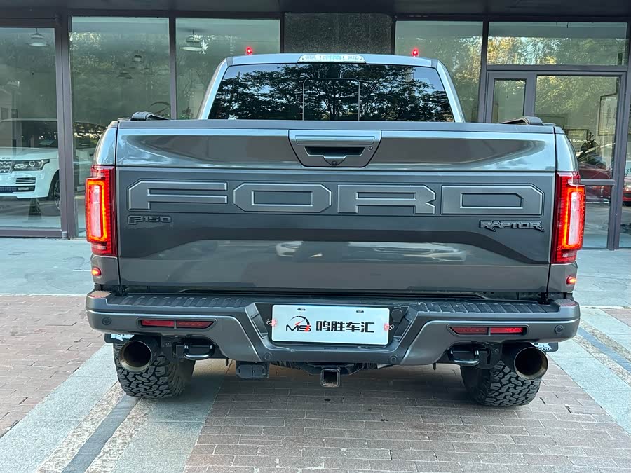 Ford F-150 Raptor 2019 car image #8