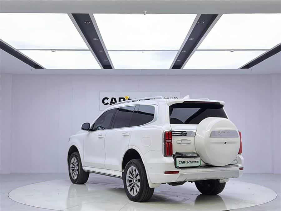 Tank 500 New Energy 2023 immagine di auto #8