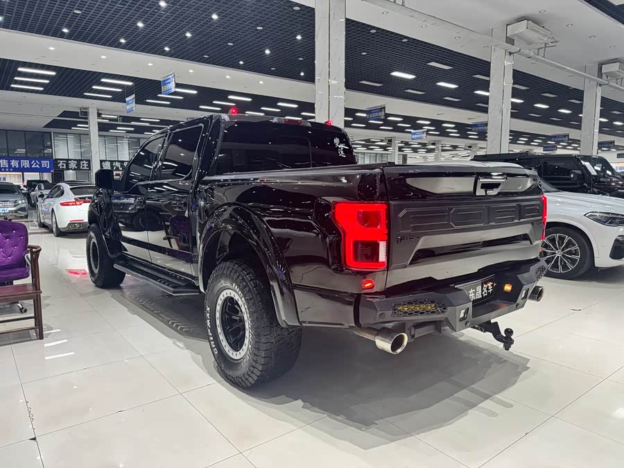 Ford F-150 Raptor 2019 car image #8