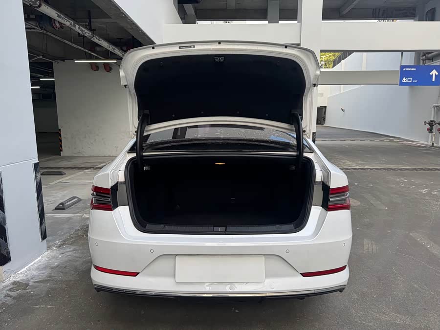 BYD Qin Pro New Energy 2020 #8 BYD Qin Pro New Energy 2020 immagine di auto #8