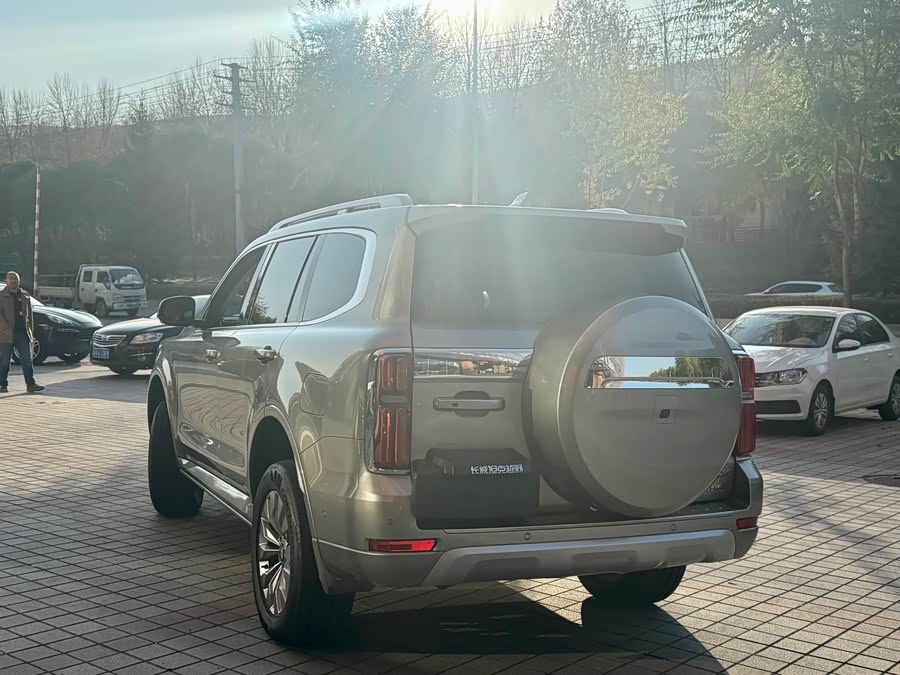 Tank 500 New Energy 2024 car image #8