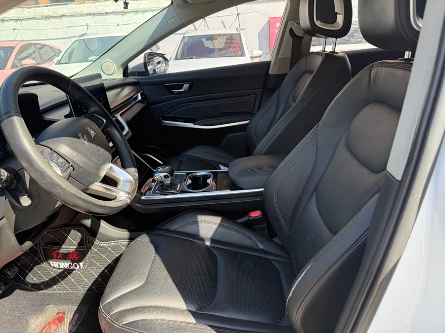 HongQi E-HS3 2019 car image #8