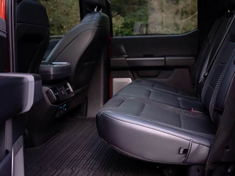 Ford F-150 Raptor 2023 car image #8