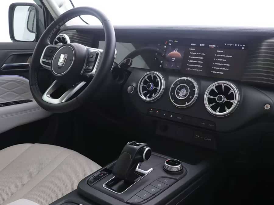 Tank 300 New Energy 2024 #8 Tank 300 New Energy 2024 immagine di auto #8