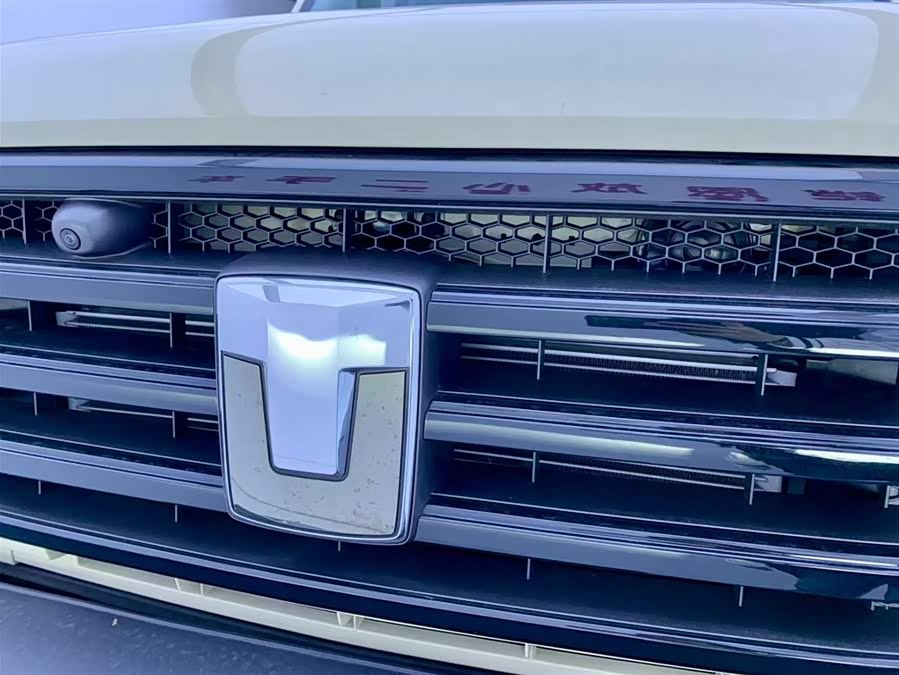 Tank 300 New Energy 2025 car image #8