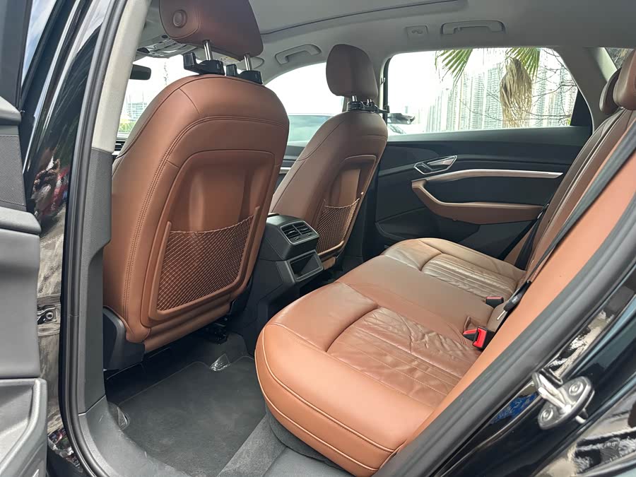 Audi e-tron (Imported) 2020 #8 Audi e-tron (Imported) 2020 car image #8