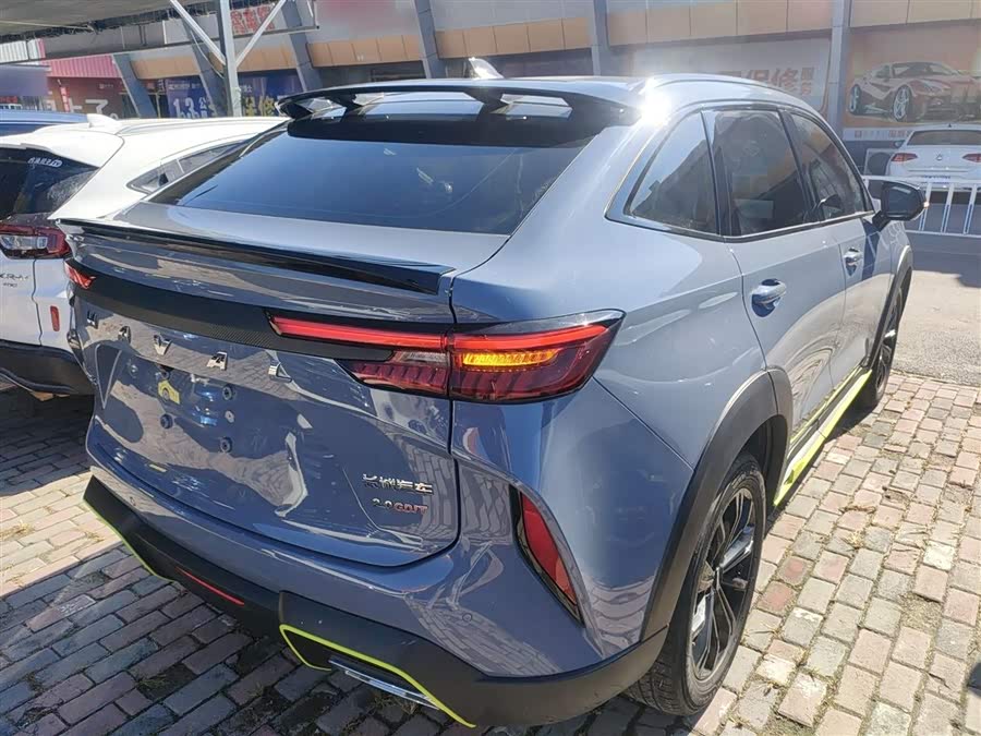 Haval H6S 2022 immagine di auto #8