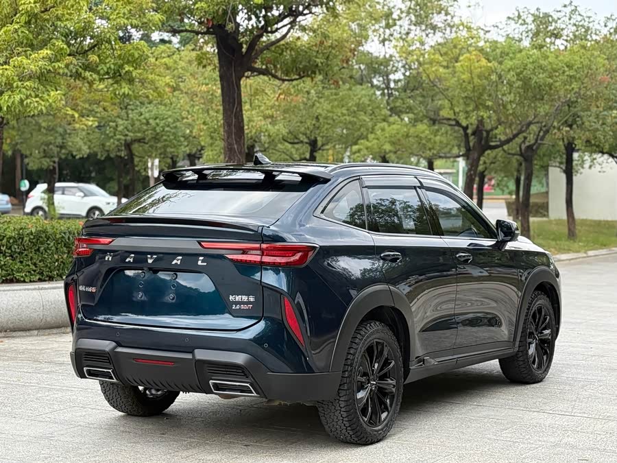 Haval H6S 2022 car image #8