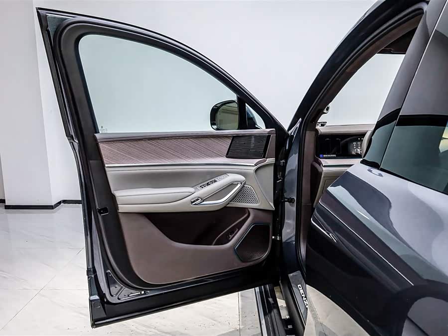 Denza N9 2025 imagen de coche #8