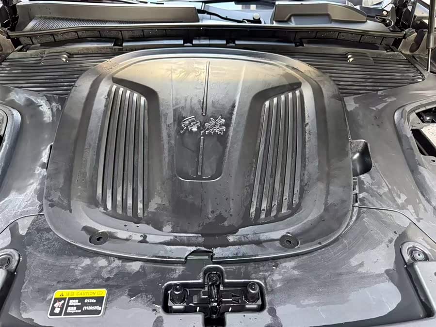 HongQi E-HS9 2023 immagine di auto #8