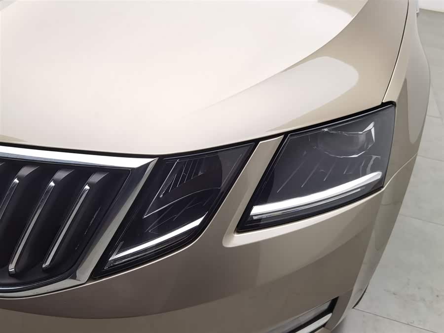 Skoda Octavia 2019 car image #8