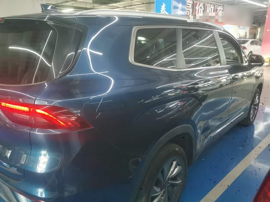 睿蓝汽车 睿蓝9 2024 汽车图片 #8