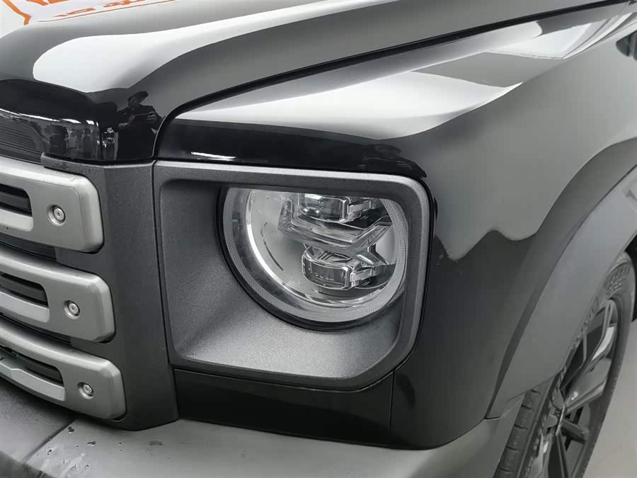Haval Raptor New Energy 2023 car image #8