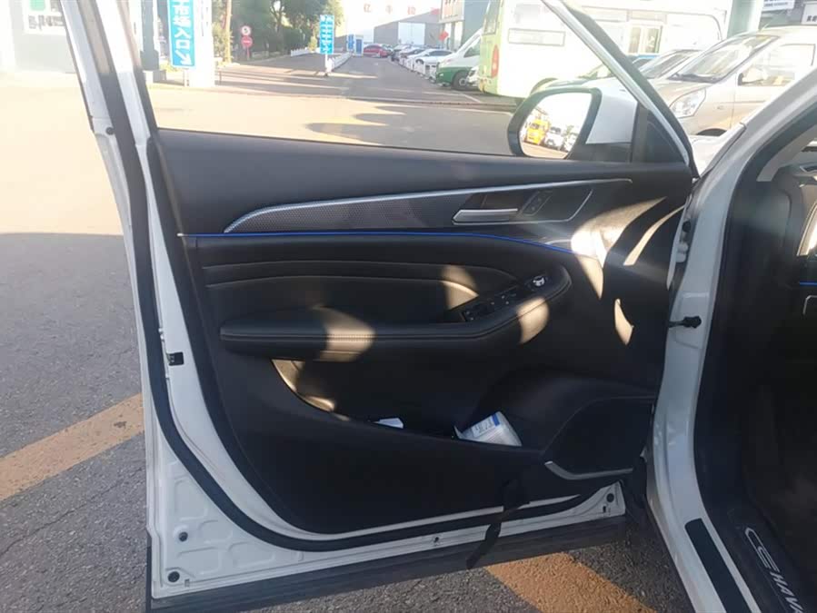 Haval F7x 2021 immagine di auto #8