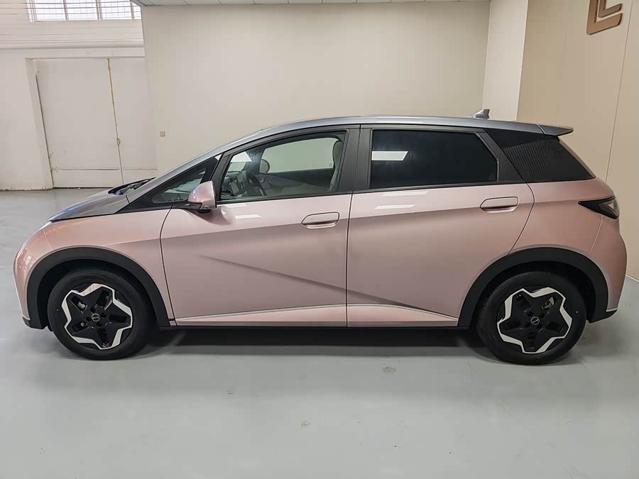 比亚迪 海豚 2022 汽车图片 #8