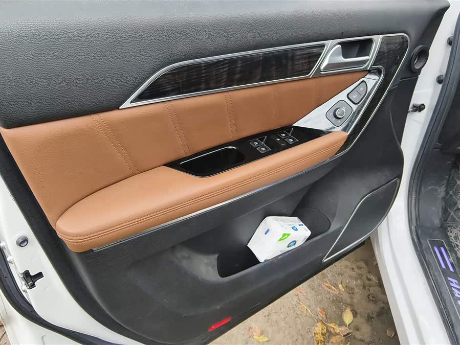 Haval H6 Coupe 2016 immagine di auto #8