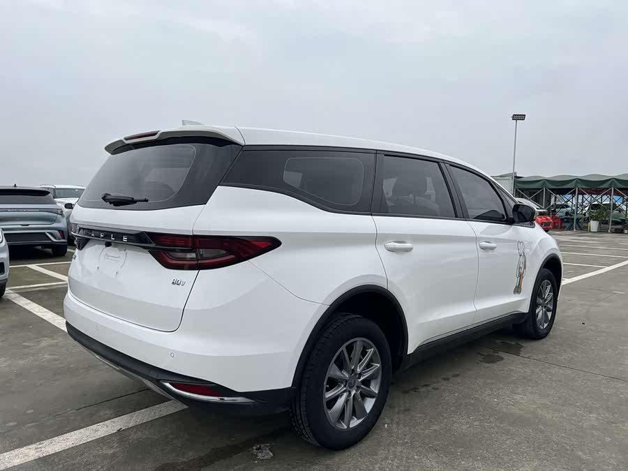 睿蓝汽车 枫叶80v 2021 汽车图片 #8
