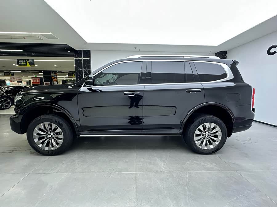 Tank 500 New Energy 2025 immagine di auto #8