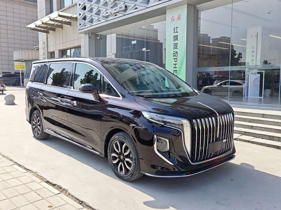 HongQi HQ9 2023 car image #8