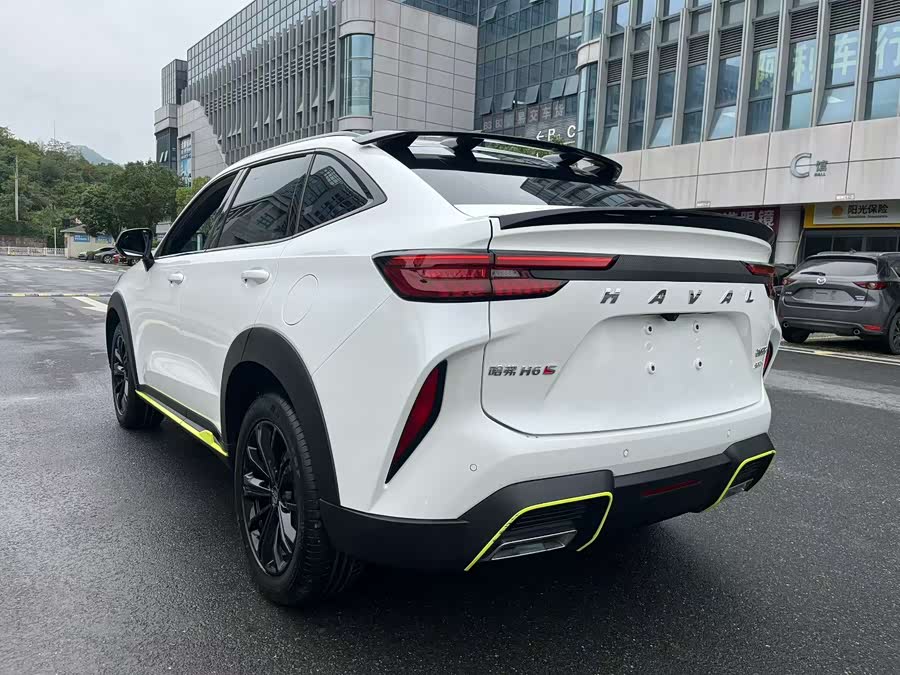 Haval H6S 2022 immagine di auto #8