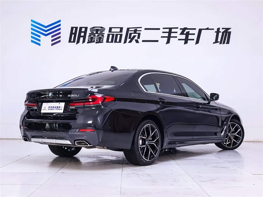 BMW 5 Series 2023 car image #8