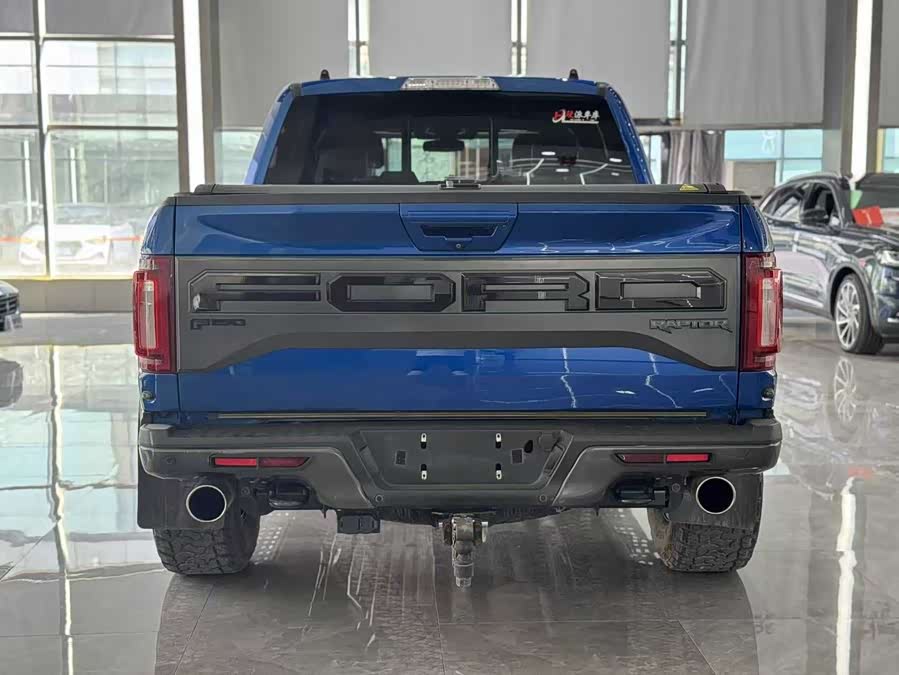 Ford F-150 Raptor 2018 car image #8