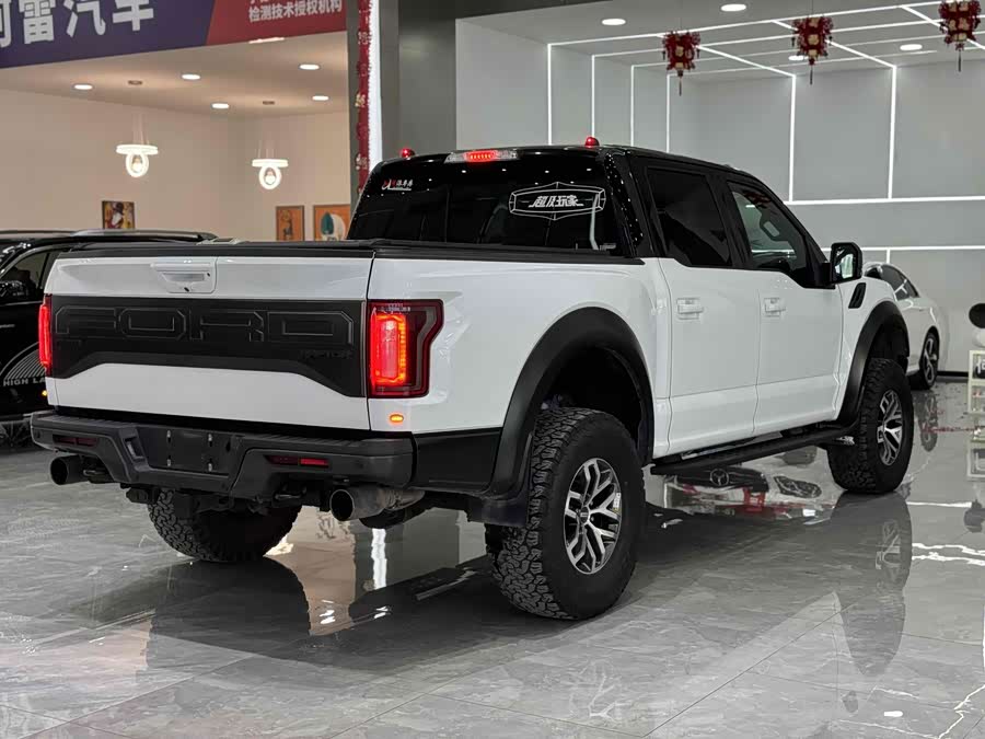 Ford F-150 Raptor 2018 car image #8