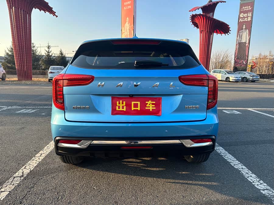 Haval Jolion 2021 immagine di auto #8