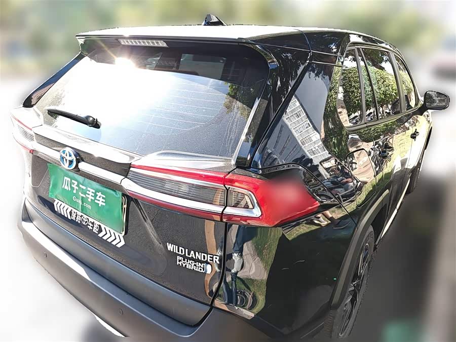 Toyota Wildlander New Energy 2021 immagine di auto #8