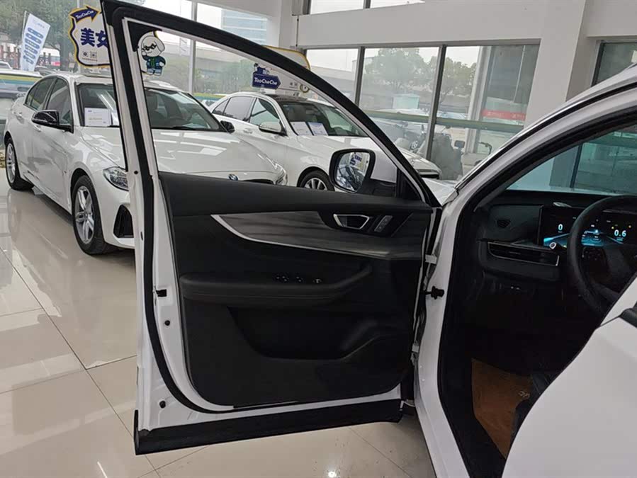 Chery Tiggo 8 Plus 2021 image de voiture #8