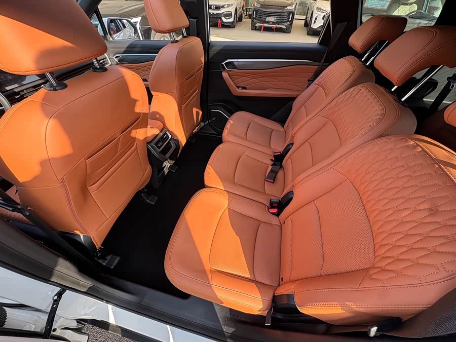 GEELY Okavango L 2023 imagem de carro #8