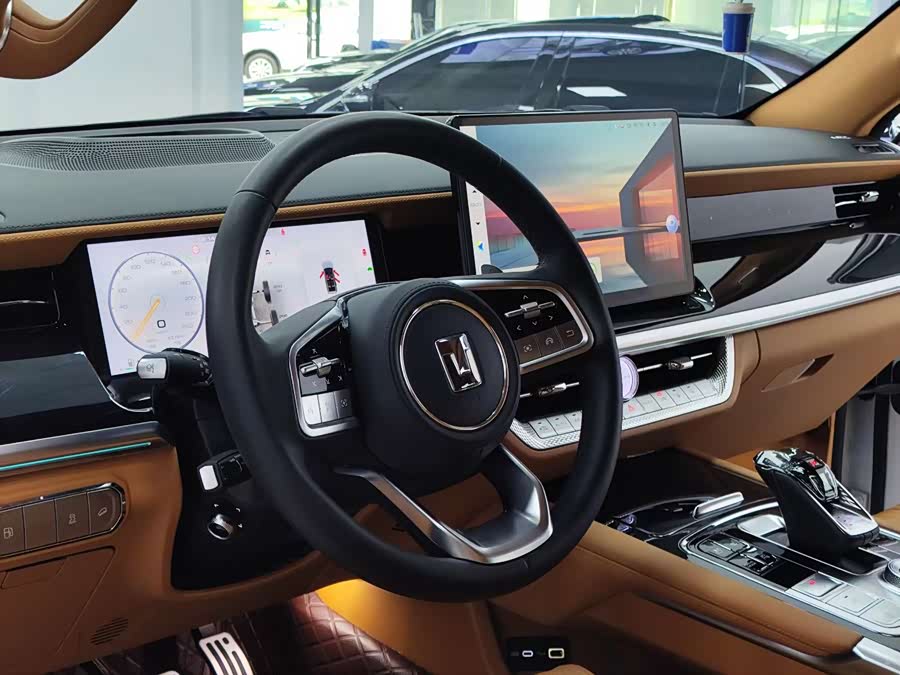 Tank 500 New Energy 2024 car image #8