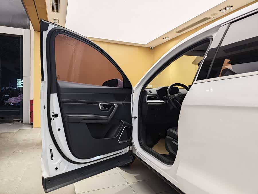BYD Song Pro 2020 car image #8