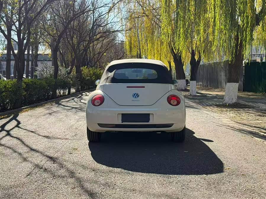 Volkswagen Beetle 2010 immagine di auto #8