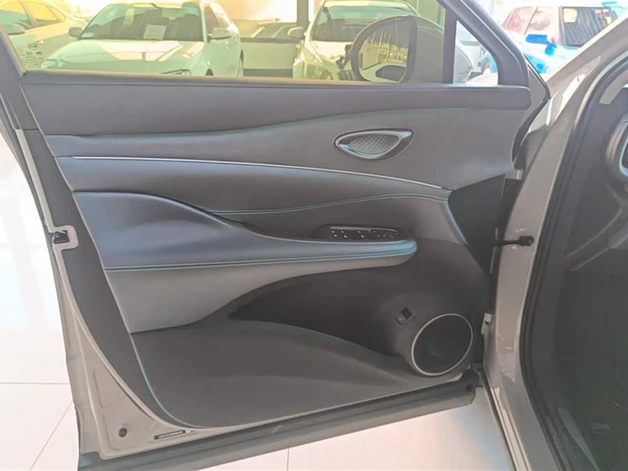 BYD Sea Lion 06 New Energy 2025 car image #8