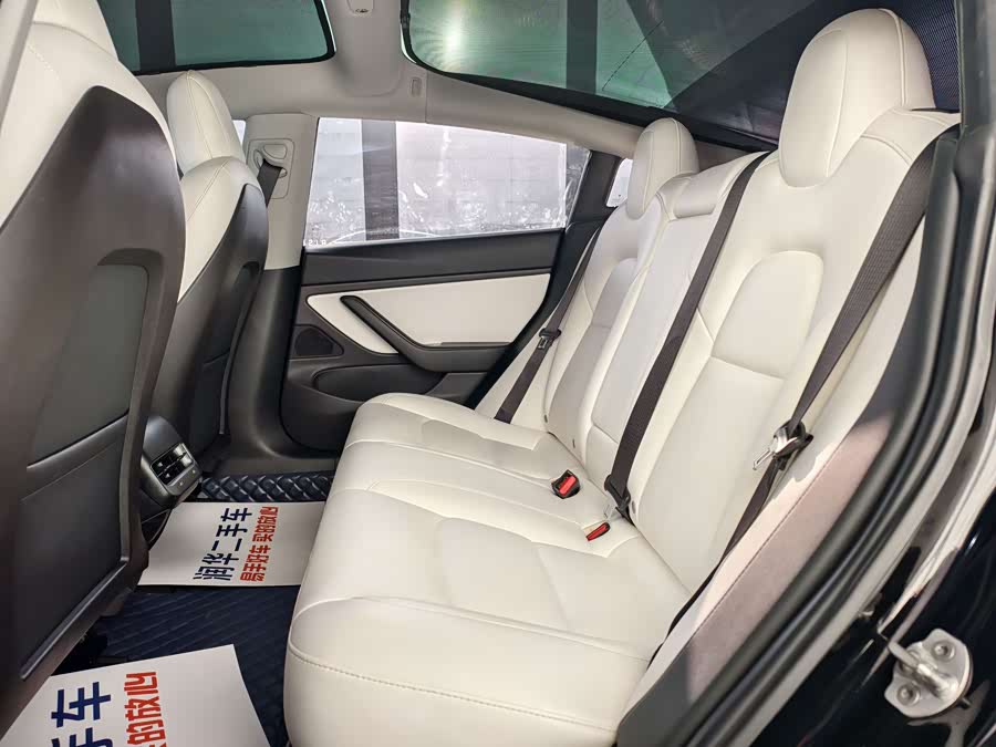 特斯拉 Model 3(进口) 2019 汽车图片 #8