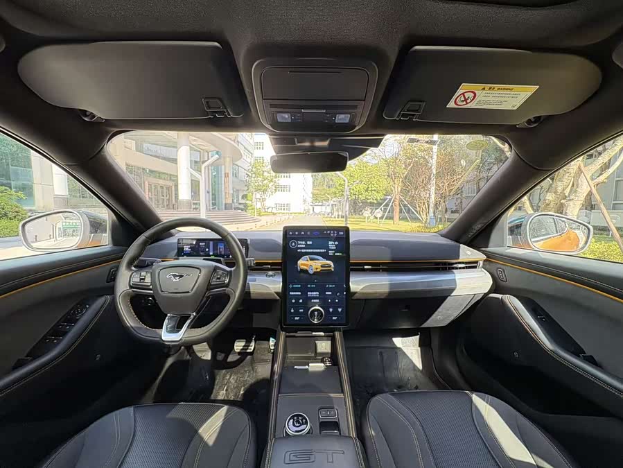 Ford Mustang Mach-E 2024 car image #8