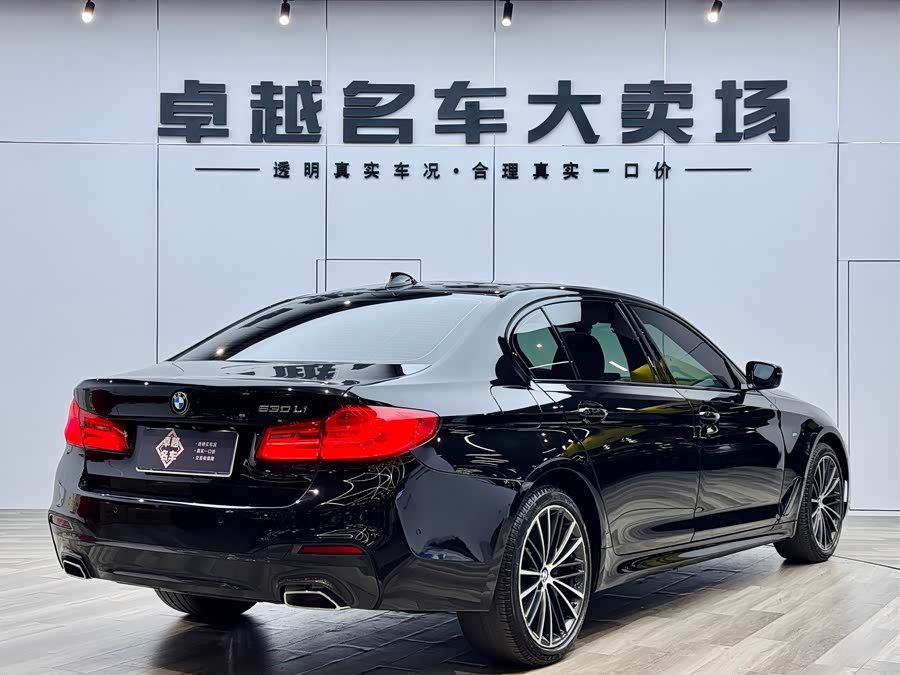 BMW 5 Series 2019 image de voiture #8