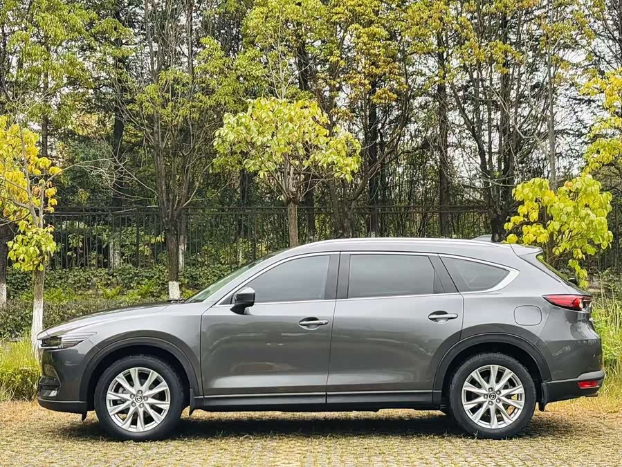 Mazda CX-8 2019 immagine di auto #8