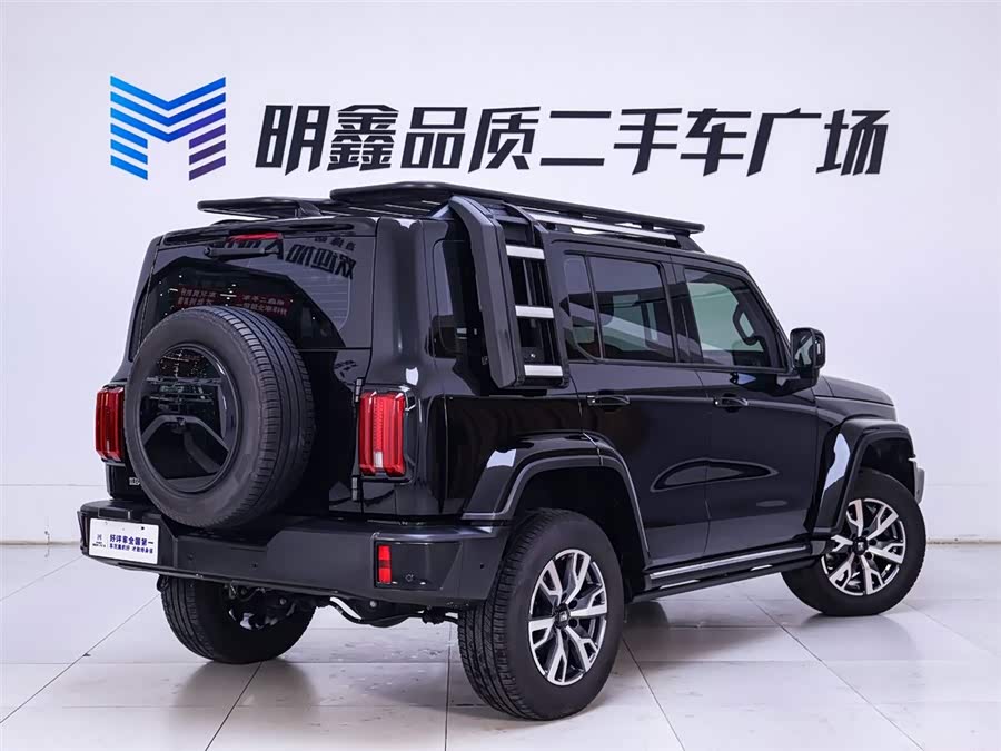 Tank 300 2024 car image #8