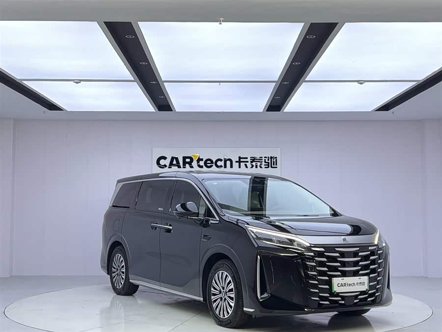 BYD Xia 2024 imagen de coche #8