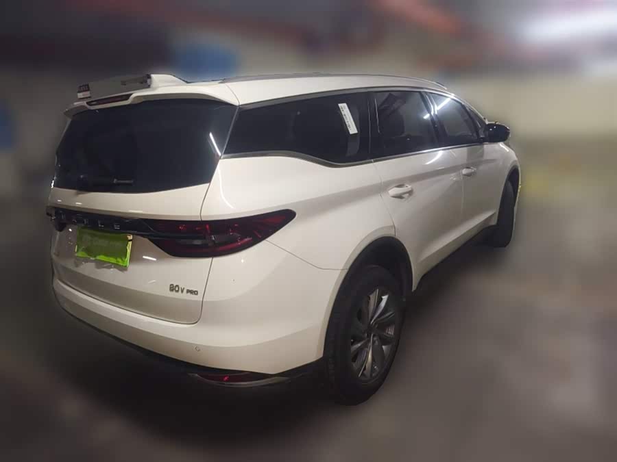 睿蓝汽车 枫叶80v PRO 2023 汽车图片 #8