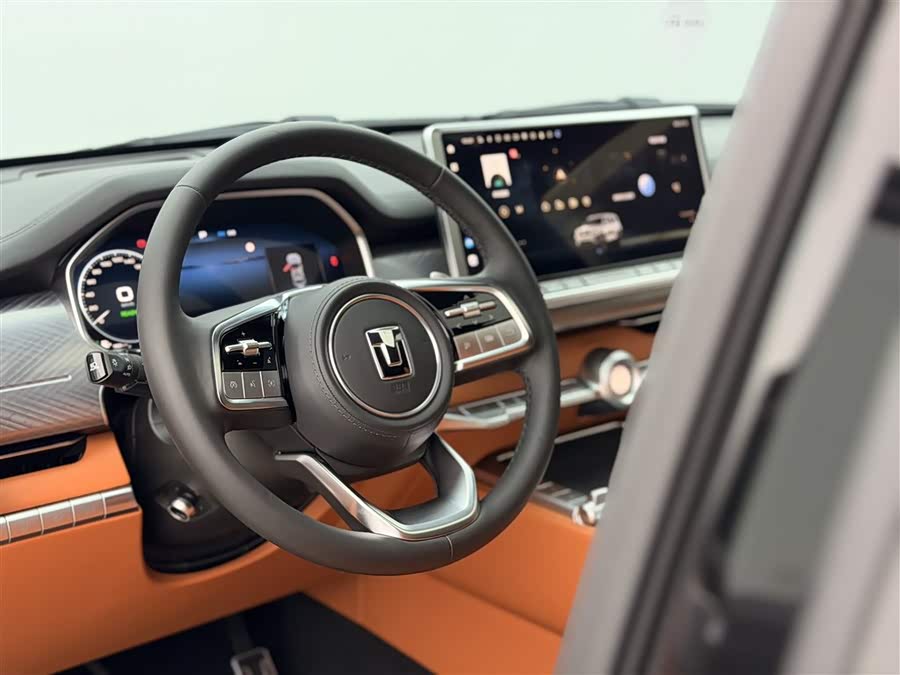 Tank 700 New Energy 2024 imagen de coche #8