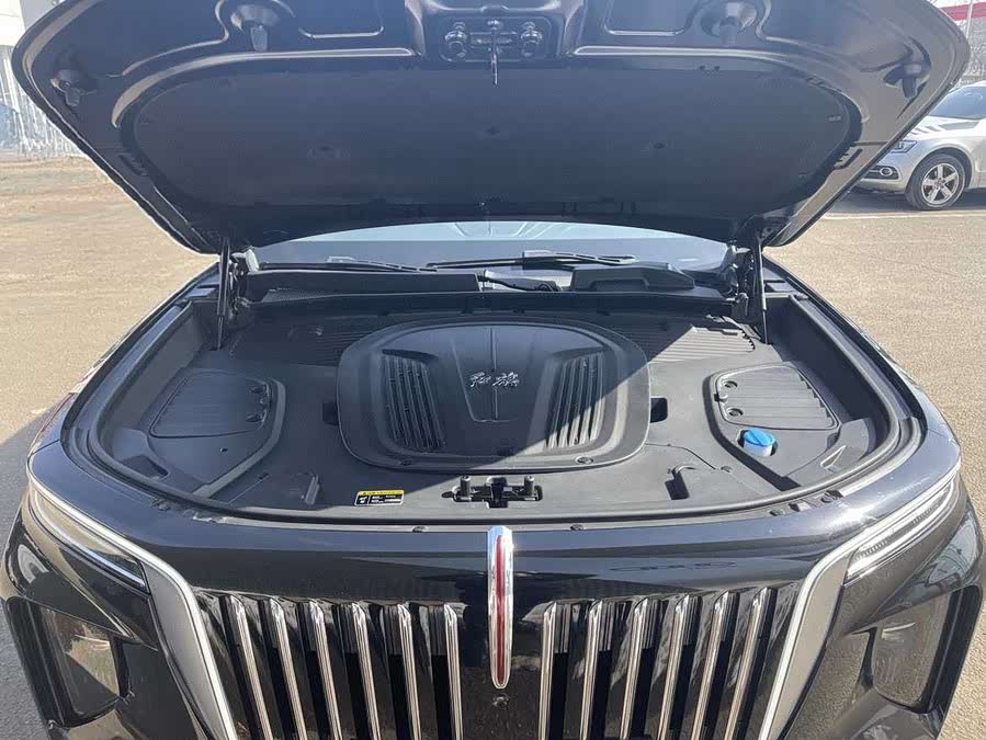 HongQi E-HS9 2023 изображение автомобиля #8