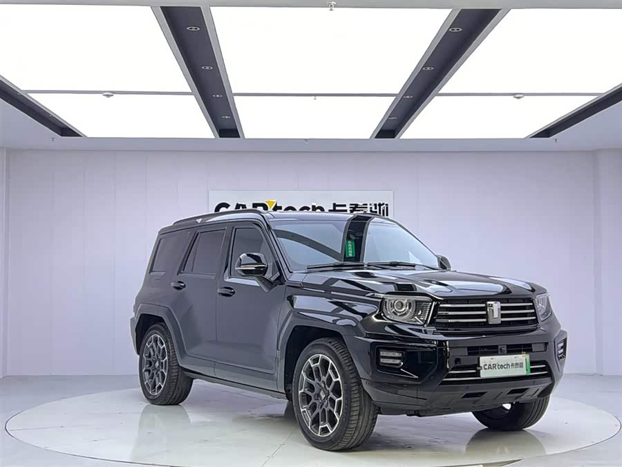 Tank 700 New Energy 2024 #8 Tank 700 New Energy 2024 imagen de coche #8