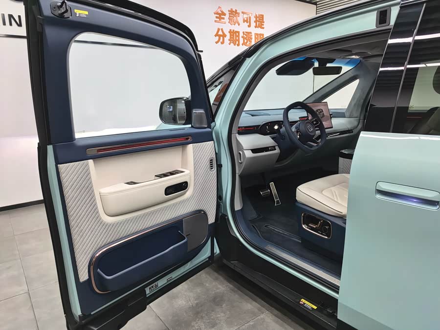 极氪 极氪MIX 2024 汽车图片 #8